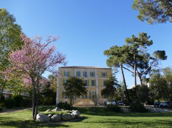 Hôtel de ville, Corte