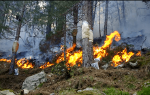 Projet Feux de forêt