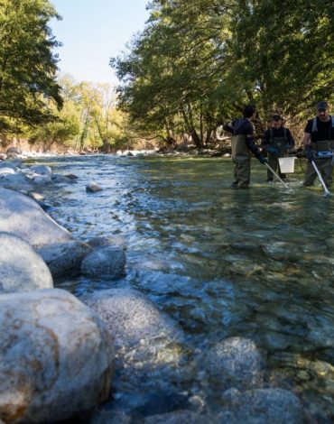 Projet Gestion des Eaux en Méditerranée