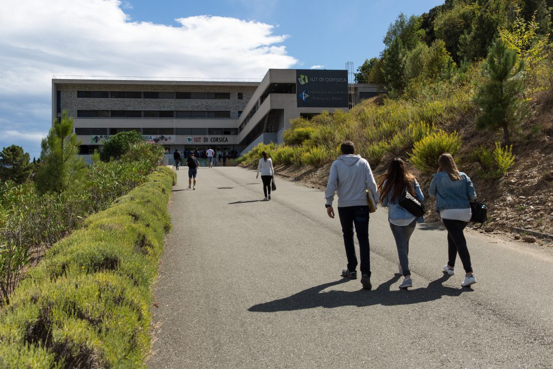 IUT de Corse, Campus Grimaldi