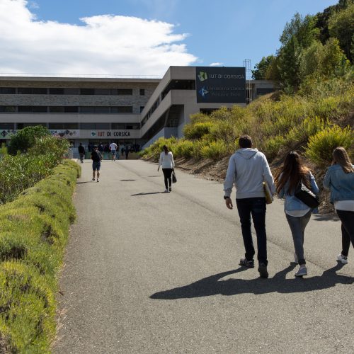 IUT de Corse, Campus Grimaldi